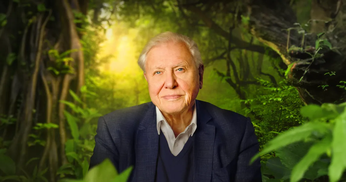 Photo of David Attenborough surrounded by plants and trees