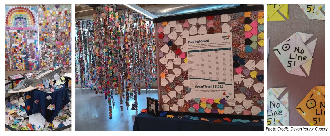 Collage of three photos featuring paper origami fish displayed in piles, on boards, and hanging from the ceiling