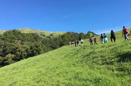 Hikers in green spring hills, bright blue sky