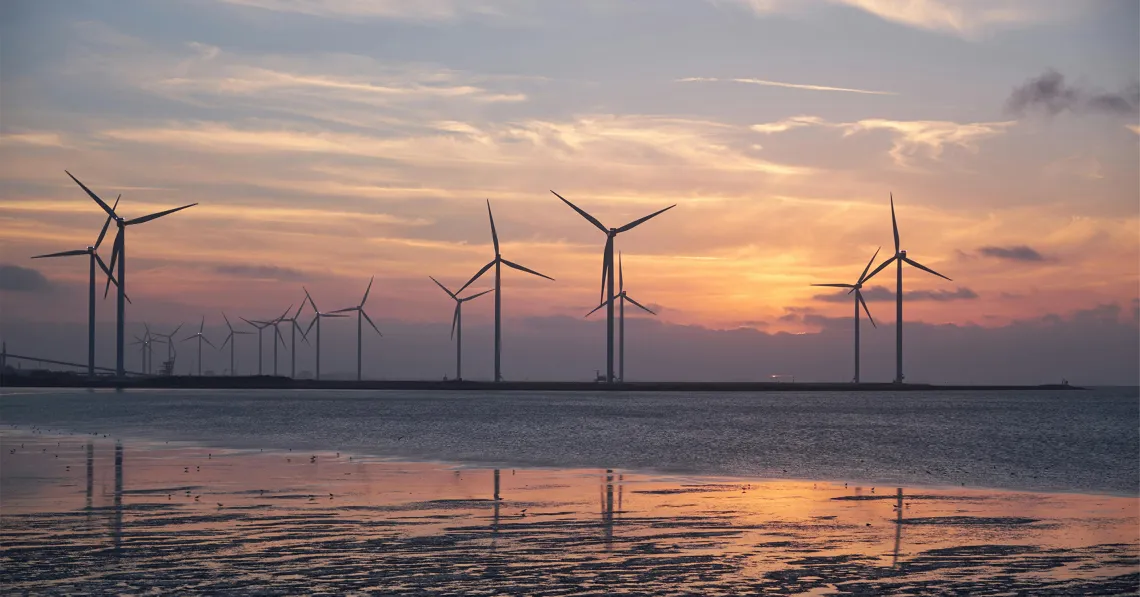 Windmills off beach