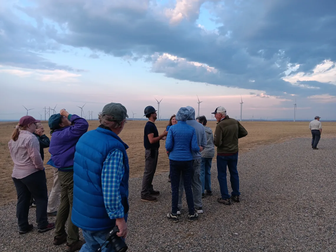 People looking at turbines on the High Plains wind farm