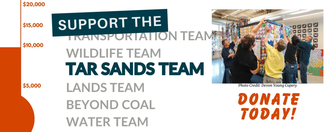 Support the Tar Sands Team over a grayed out list of other teams. A fundraising thermometer to the left and a picture of team members setting up the origami fish display on the right with "Donate Today" underneath it
