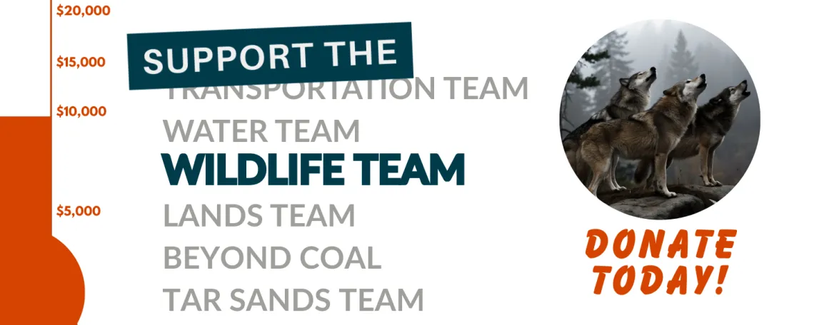 Support the Wildlife Team over a grayed out list of other teams. A fundraising thermometer to the left and a picture of wolves on the right with "Donate Today" underneath it