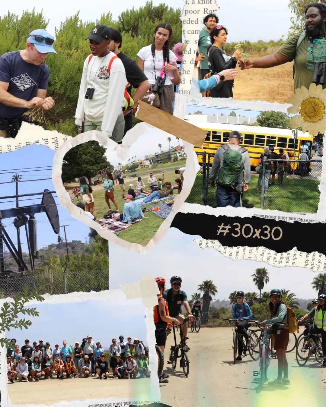 Inglewood Oil Fields and Ballona Wetlands Tour