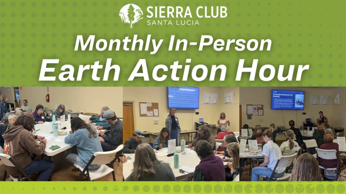 Monthly Earth Action Hour graphic - page 1