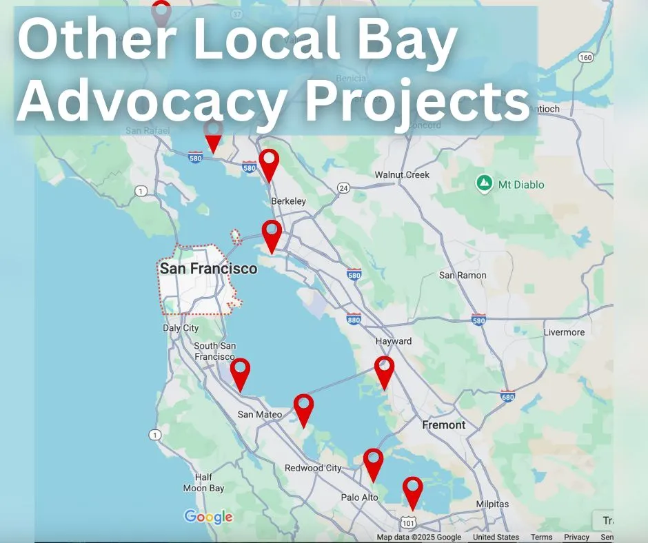 Other local Bay advocacy projects