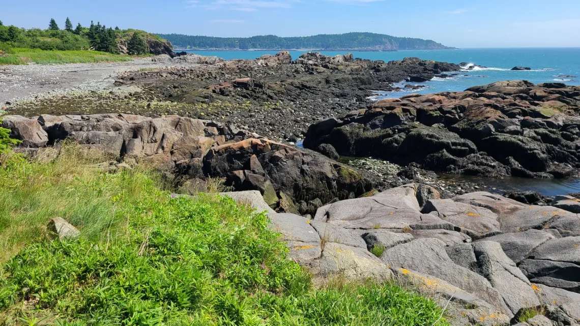 Dog Brook Cove Preserve, looking NE. Quoddy Head State Park is on the horizon, with the easternmost point in the US just around the corner right.