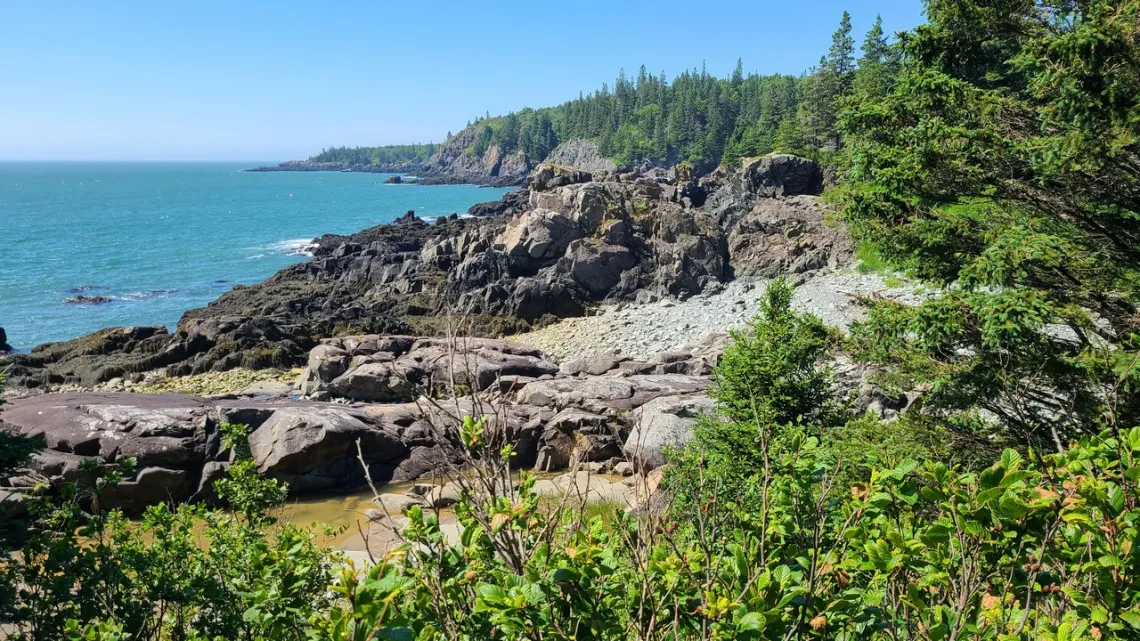 Bog Brook Cove Preserve