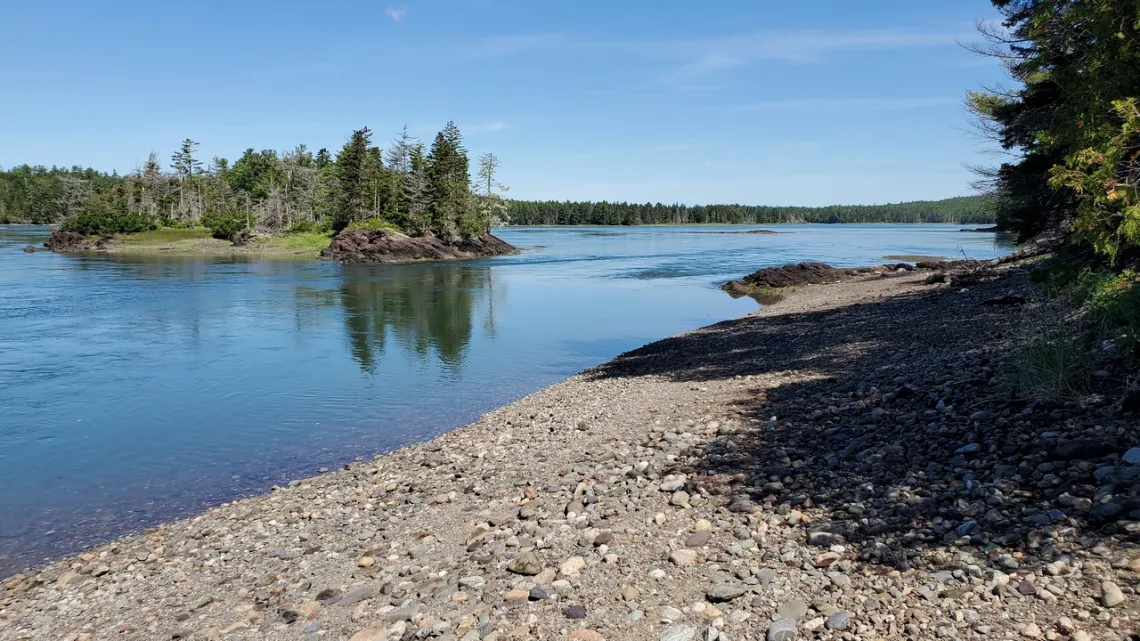 W side of Sipp Bay preserve, at low tide