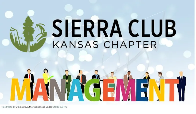 men and women in suites standing behind Management Letters