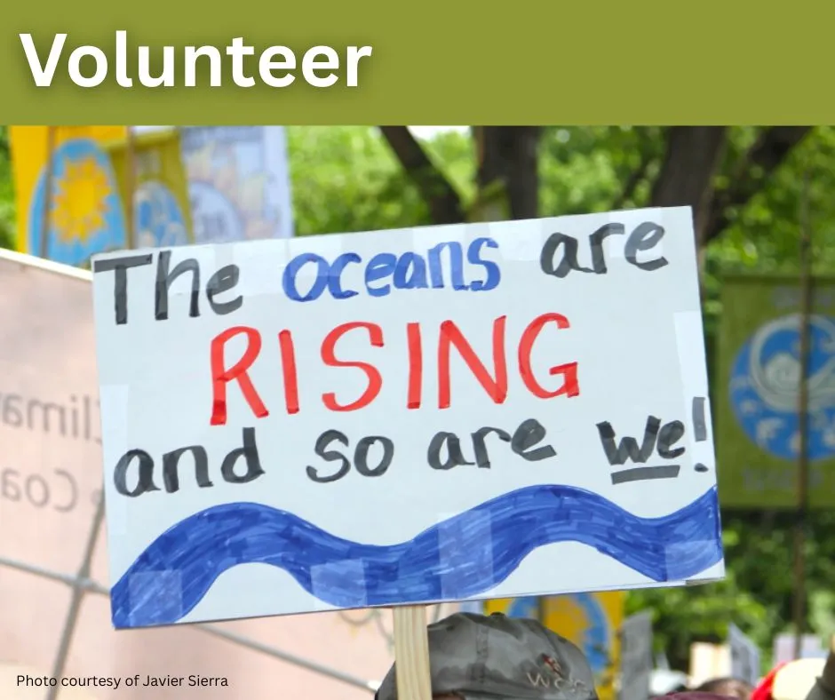 Volunteer