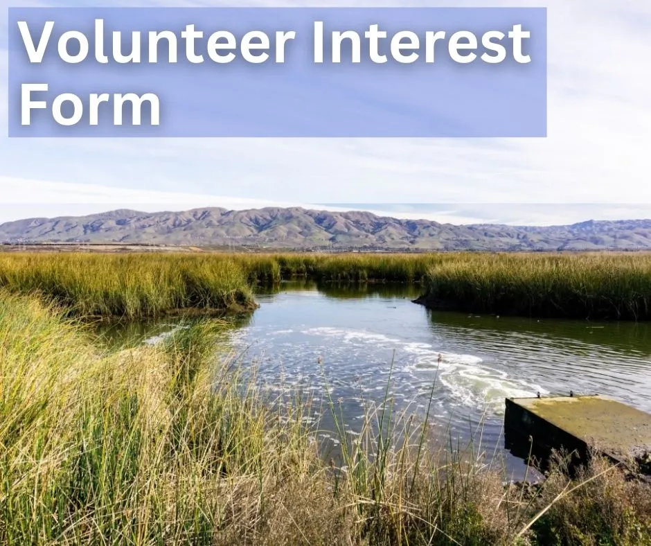 Volunteer interest form