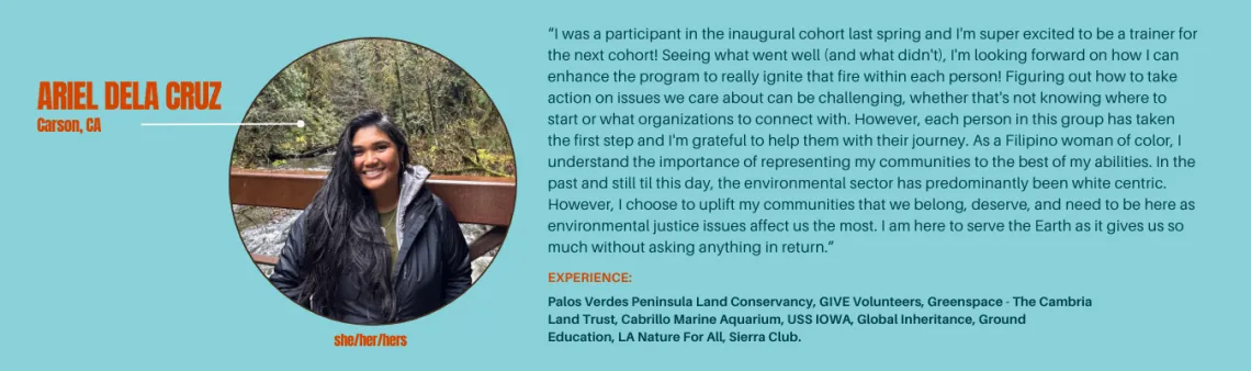 Ariel 2026 Trainers for Website