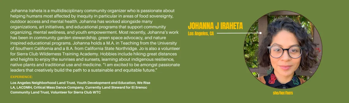 Jo 2026 Trainers for Website