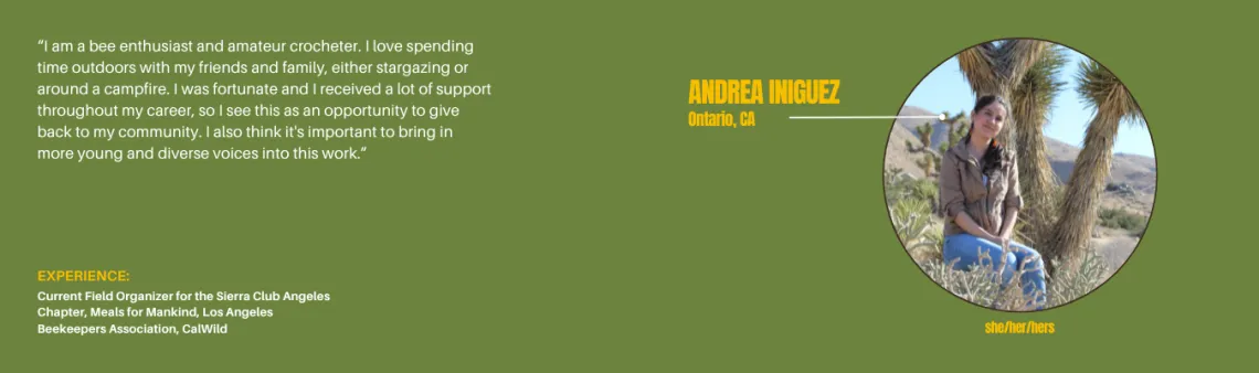 Andrea 2026 Trainers for Website