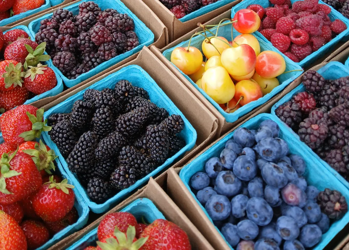 Fruit