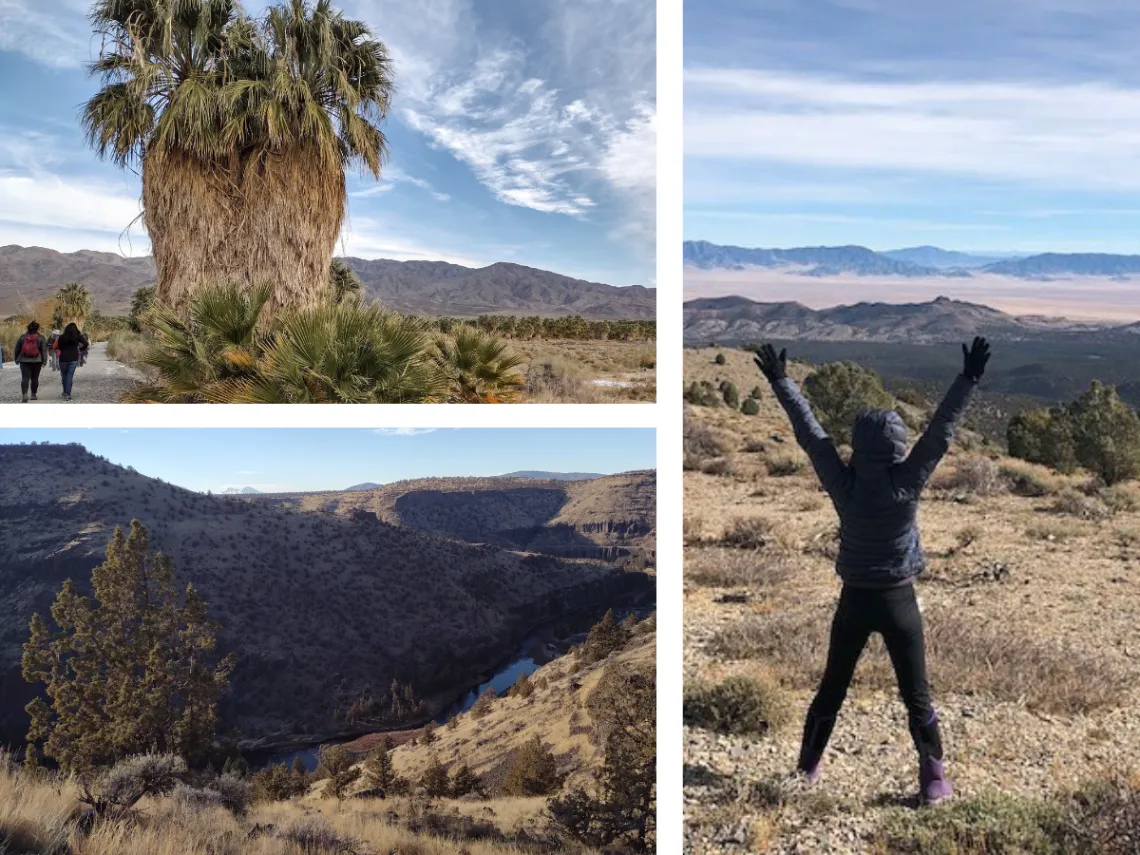 Scenic views of public lands