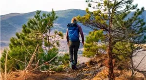 Hiker