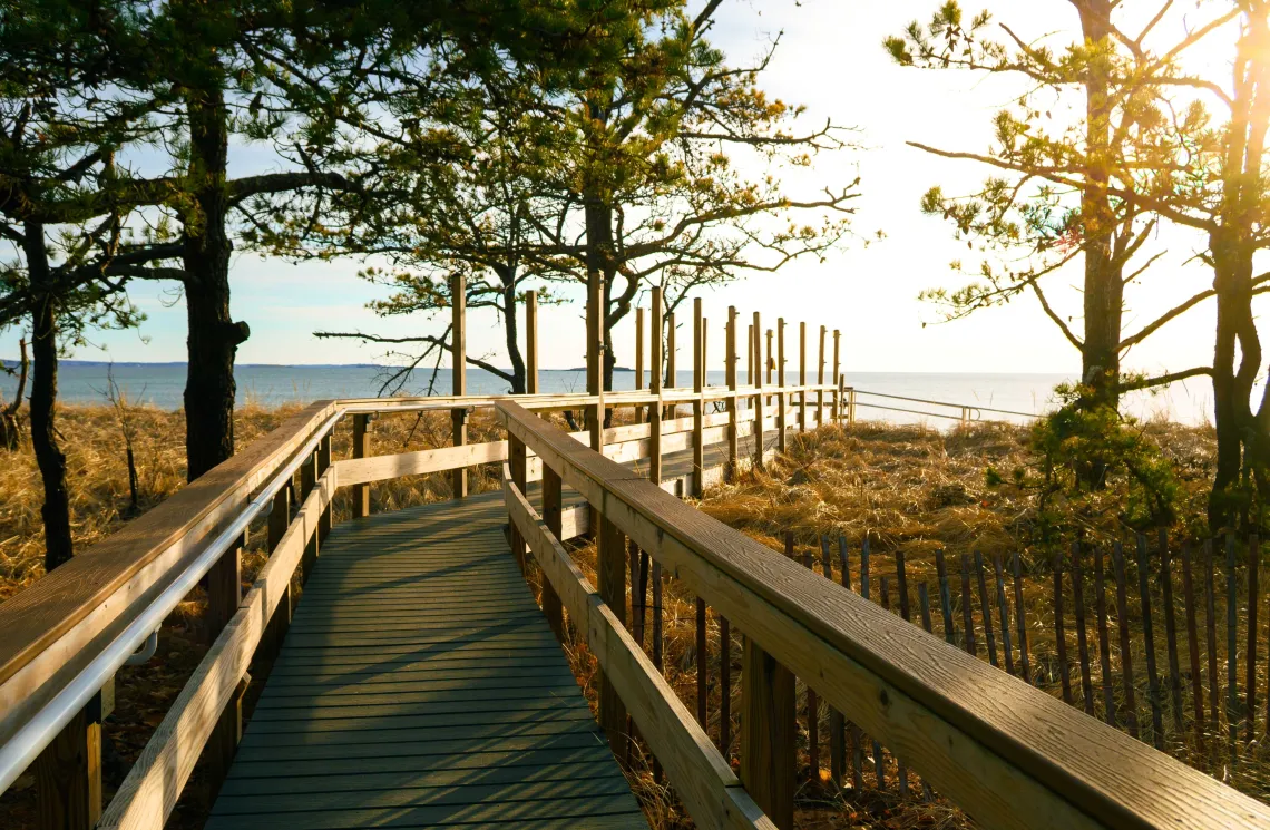 bridge