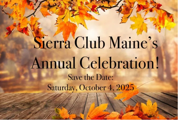 annual