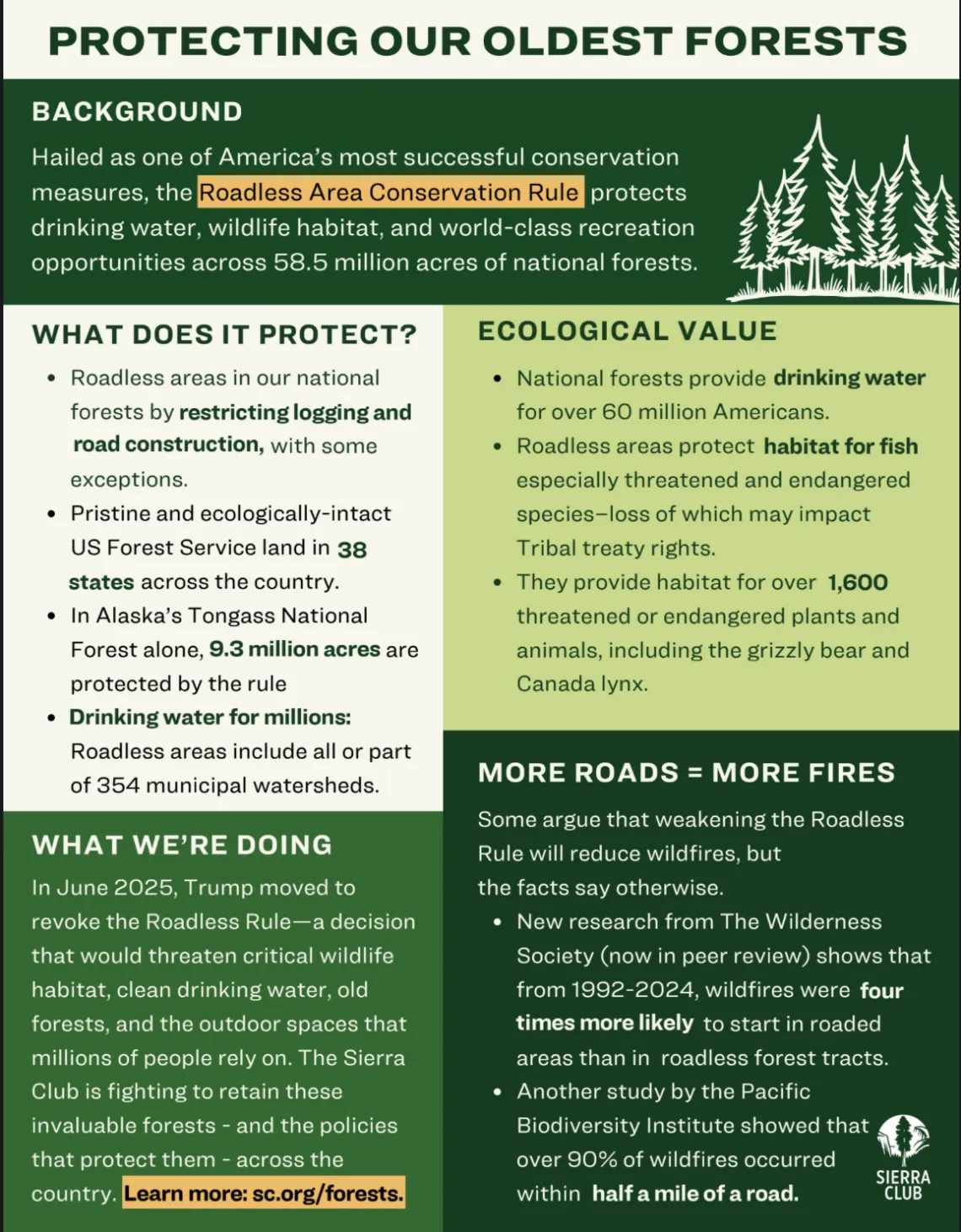 Protecting our oldest forests fact sheet page 1