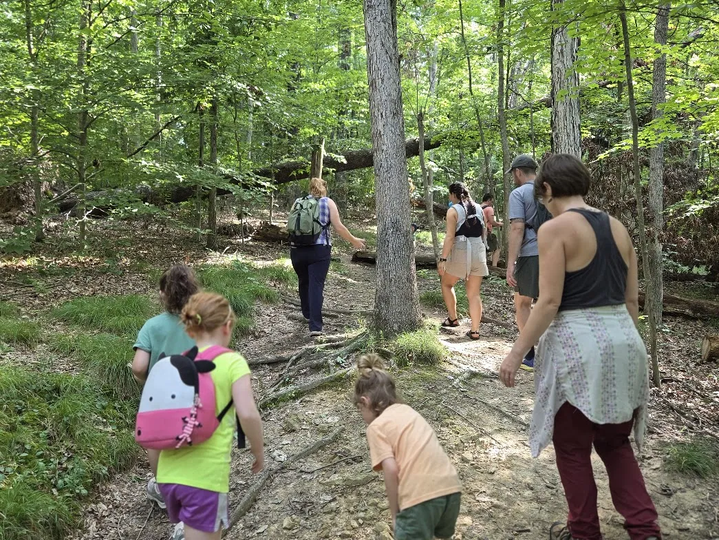 A group of seven adults and children walking in the woods. They all have their backs to the camera and are concentrating on the trail and navigating the roots of the trees and observing the nature around them. It's a sunny day and dapples of sunlight are on the forest floor.
