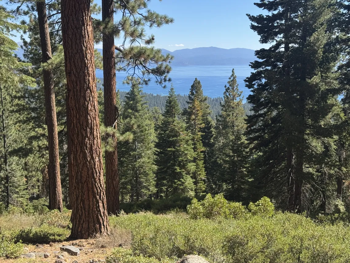 View through forest on north shore of Lake Tahoe  