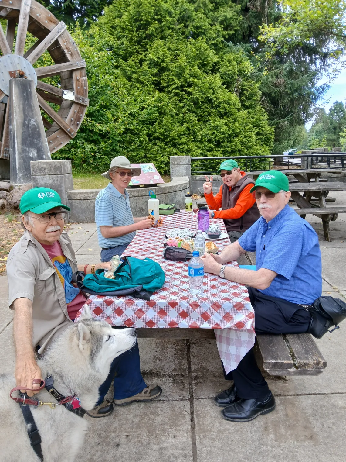 Picnic