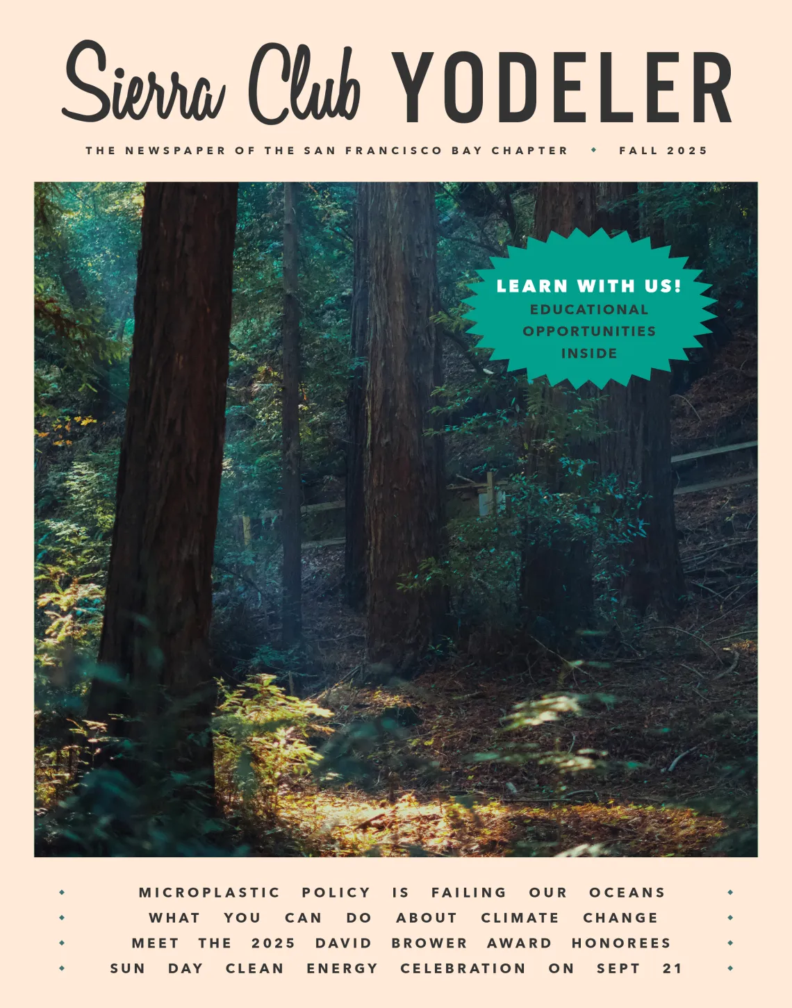 Fall Yodeler cover with sunlight filtering through redwood trees