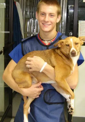 NC State College of Veterinary Medicine