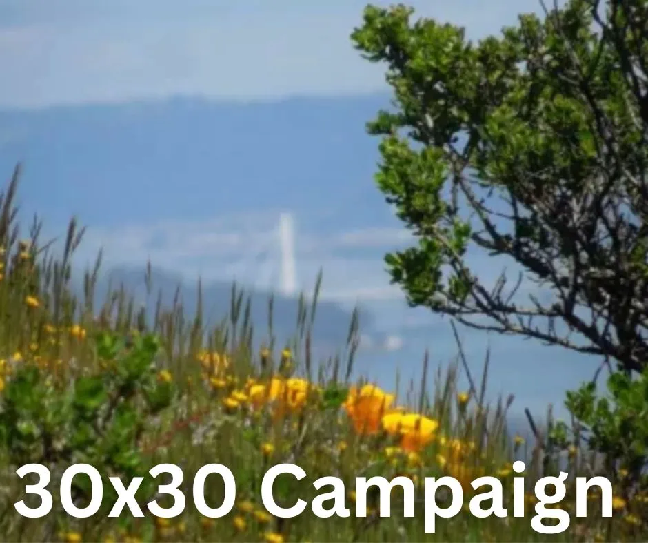30x30 Campaign