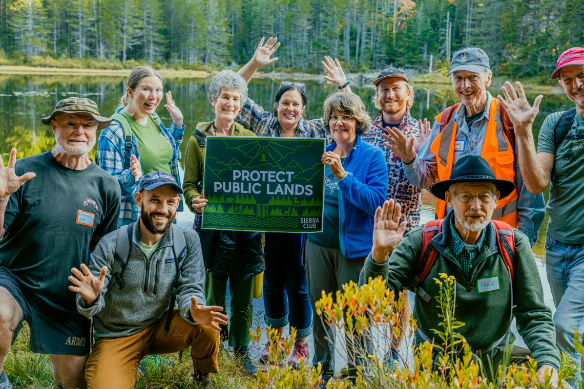 public lands