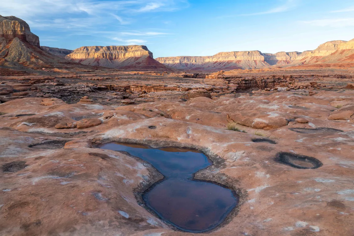 a watering hole in the desert part of the monument