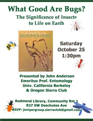 Bugs Flyer