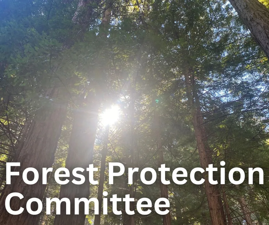 Forest Protection Committee