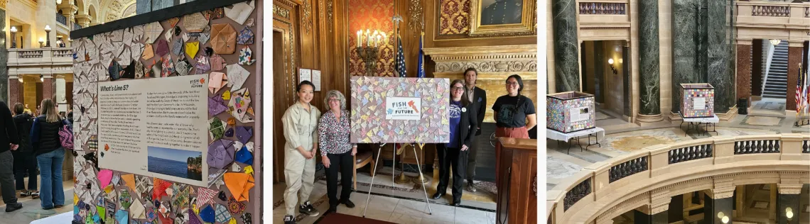 Three photos of the fish for the future display at the Wisconsin State Capitol