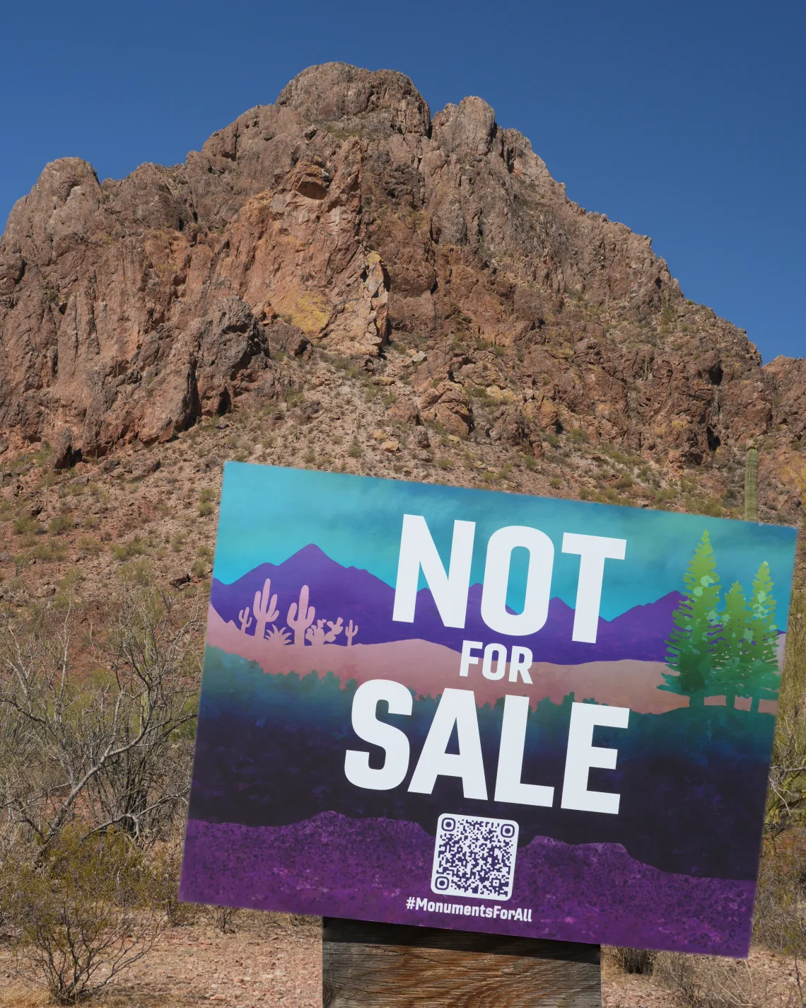 Public Land Not For Sale Sign