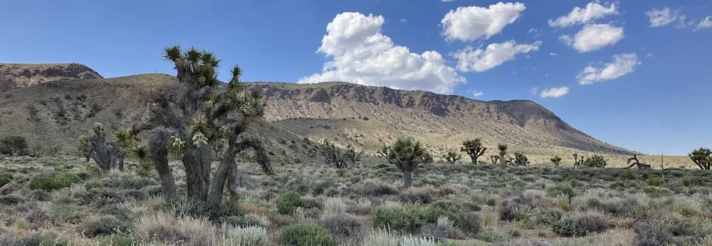photo of Conglomerate Mesa skyline