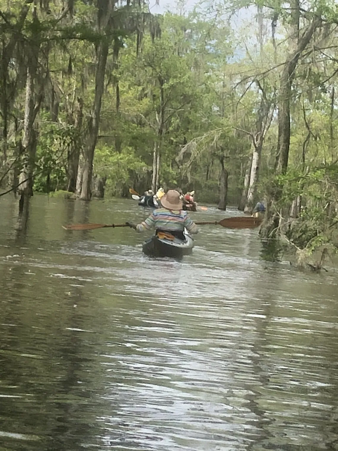 kayakers paddling a river in South Carolina with cypress trees and moss