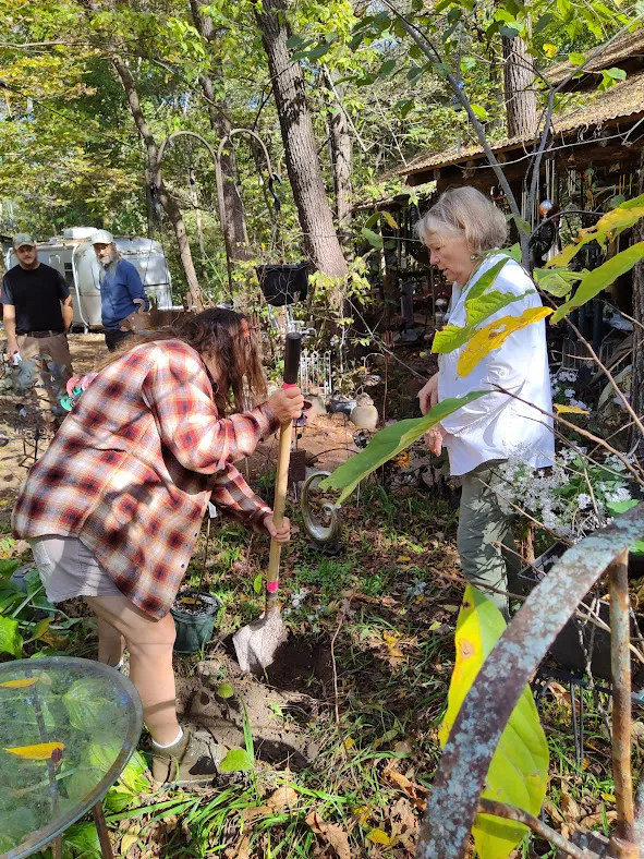 Two people planting a tree in a woodsy area. One is using a shovel to dig a hole. There are a couple of other people in the background. It's a sunny day and the leaves on the trees are green.