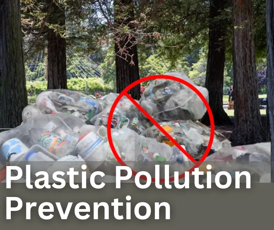 Plastic Pollution Prevention