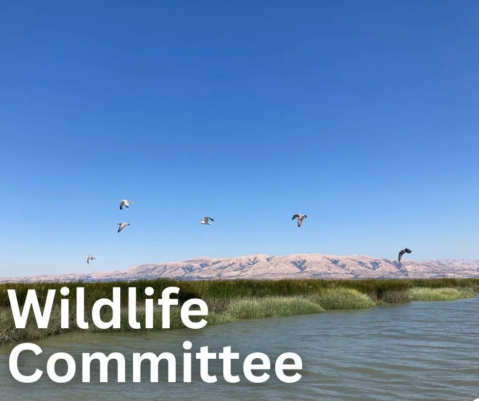 Wildlife Committee