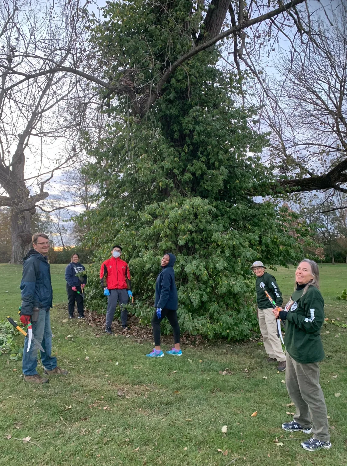 Six people stood around a large tree covered in green invasive wintercreeper so the branches are barely visible