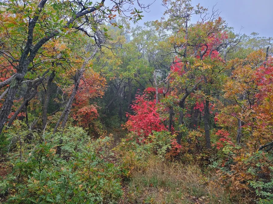 On Crest trail October 8th, loop from Fourth of July Canyon campground