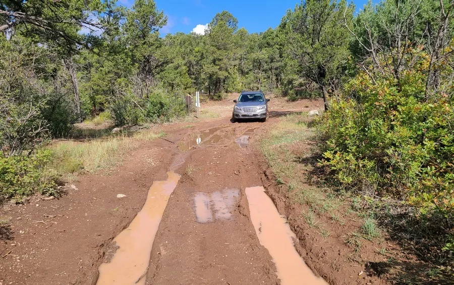 after car got unstuck; stuck spot just in front of car. Puddles bottom of pic