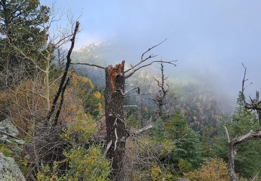 On the Manzano Mountains, Crest trail