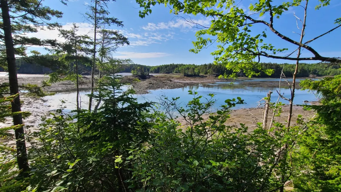 Black Duck Cove preserve. Looking SE 
