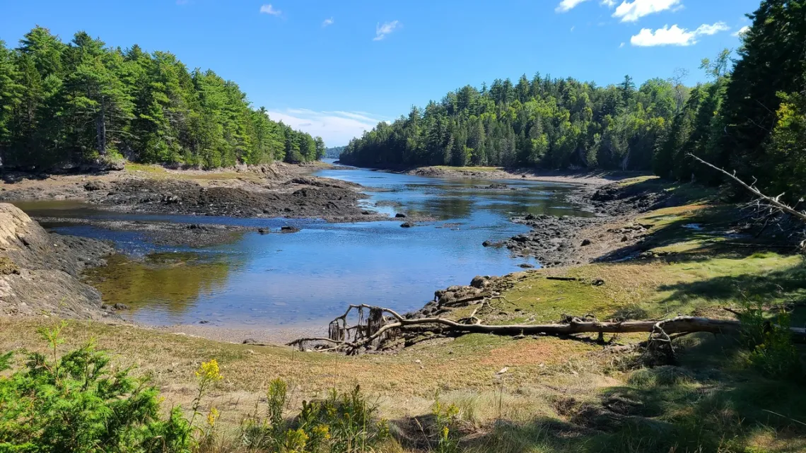 In Hardscrabble River preserve, Cobscook Shores