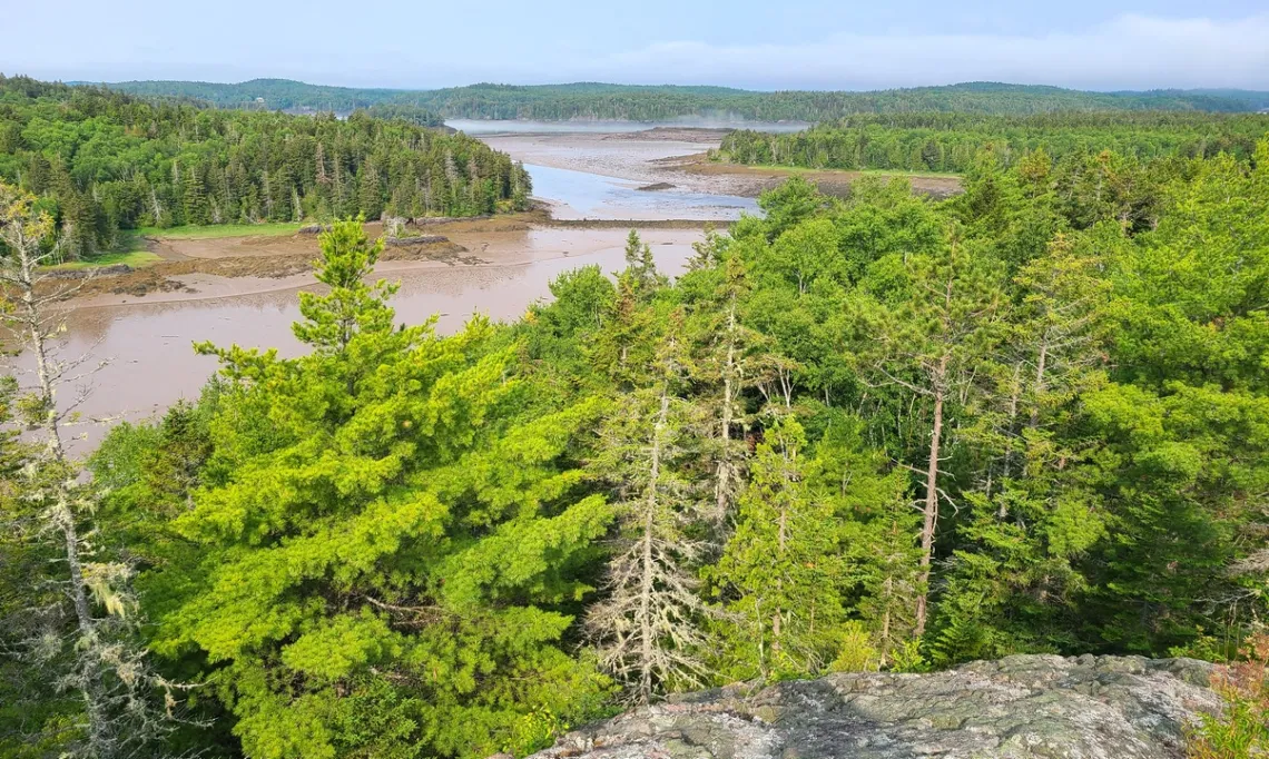 On the summit of Klondike Mountain, DCC, looking W