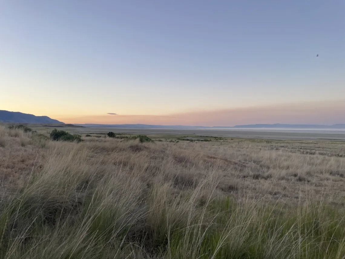 A sweeping grasslands vista at sunset